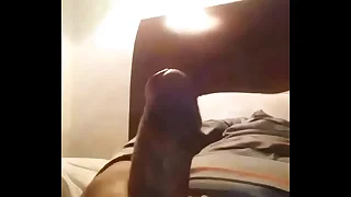 Mi Verga Dura